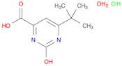 6-tert-Butyl-2-hydroxy-4-pyrimidinecarboxylic Acid