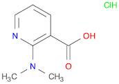 2-(dimethylamino)pyridine-3-carboxylic acid hydrochloride