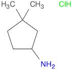 3,3-dimethylcyclopentan-1-amine hydrochloride