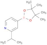 2-Isopropylpyridin-4-yl-boronic Acid Pinacol Ester