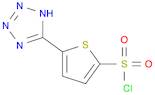 5-(1H-Tetrazol-5-yl)thiophene-2-sulfonylchloride-T0047