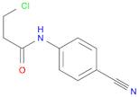 3-chloro-N-(4-cyanophenyl)propanamide
