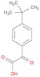 2-(4-tert-butylphenyl)-2-oxoacetic acid