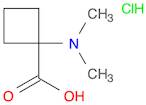 1-(dimethylamino)cyclobutane-1-carboxylic acid hydrochloride