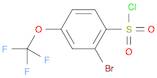2-Bromo-4-(trifluoromethoxy)benzene-1-sulfonyl chloride