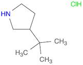 3-tert-butylpyrrolidine hydrochloride