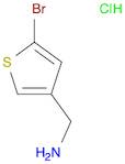 (5-bromothiophen-3-yl)methanamine hydrochloride