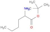 tert-butyl 2-aminohexanoate