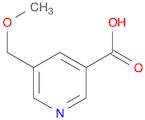 5-(methoxymethyl)pyridine-3-carboxylic acid