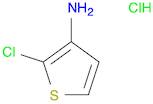 2-chlorothiophen-3-amine hydrochloride