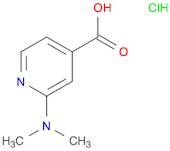 2-(dimethylamino)pyridine-4-carboxylic acid hydrochloride