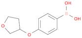 [4-(oxolan-3-yloxy)phenyl]boronic acid