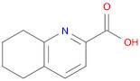 5,6,7,8-tetrahydroquinoline-2-carboxylic acid