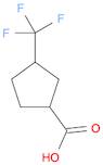 3-(trifluoromethyl)cyclopentane-1-carboxylic acid
