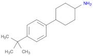 4-(4-tert-butylphenyl)cyclohexan-1-amine