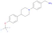 (4-{4-[4-(trifluoromethoxy)phenyl]piperidin-1-yl}phenyl)methanamine