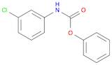 phenyl N-(3-chlorophenyl)carbamate