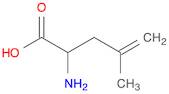 2-amino-4-methylpent-4-enoic acid