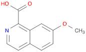 7-METHOXYISOQUINOLINE-1-CARBOXYLIC ACID