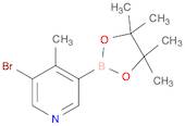 3-bromo-4-methyl-5-(tetramethyl-1,3,2-dioxaborolan-2-yl)pyridine