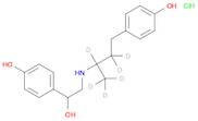 Ractopamine-d6 Hydrochloride