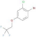 1-bromo-2-chloro-4-(2,2,2-trifluoroethoxy)benzene