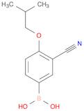 Boronic acid, [3-cyano-4-(2-methylpropoxy)phenyl]-