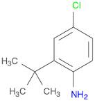 4-Chloro-2-(1,1-dimethylethyl)benzenamine
