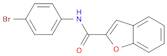 N-(4-Bromophenyl)benzofuran-2-carboxamide