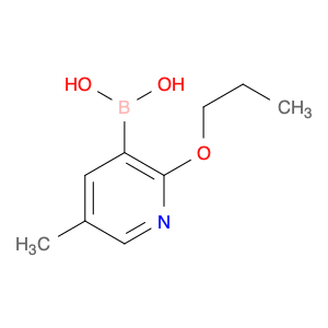 5-Methyl-2-propoxypyridine-3-boronic acid