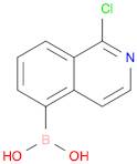 1-Chloroisoquinolin-5-yl-5-boronic acid