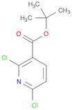 2,6-Dichloro-nicotinic acid tert-butyl ester
