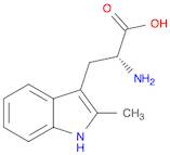 D-Tryptophan, 2-methyl-