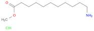 Methyl 11-aminoundecanoate hydrochloride