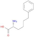 (R)-2-Amino-6-phenylhexanoic acid