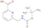2-Pyridinecarboxylic acid,6-[[[(1,1-dimethylethoxy)carbonyl]amino]methyl]-