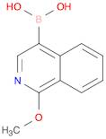 1-Methoxyisoquinoline-4-boronic acid