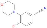 4-bromo-3-morpholino-benzonitrile