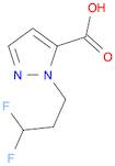 2-(3,3-difluoropropyl)pyrazole-3-carboxylic acid