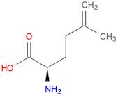 D-5,6-Dehydrohomoleucine