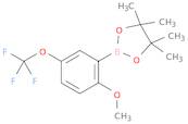 2-Methoxy-5-trifluoromethoxyphenylboronic acid pinacol ester