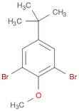 2,6-二溴-4-叔丁基苯甲醚