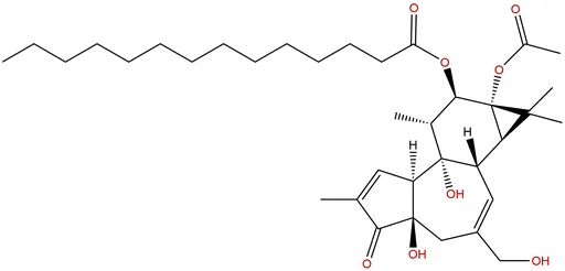 Phorbol-12-Myristate-13-Acetate