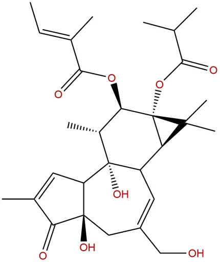 12-O-Tiglylphorbol-13 -isobutyrate