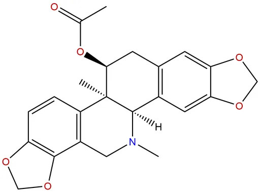 Acetylcorynoline
