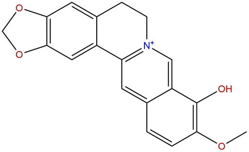 Berberrubine