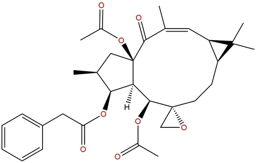 Euphorbiasteroid