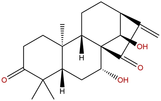 glaucocalyxin A