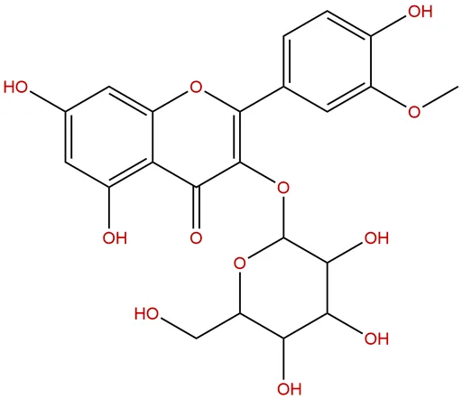 Isorhamnetin-3-O-galactoside