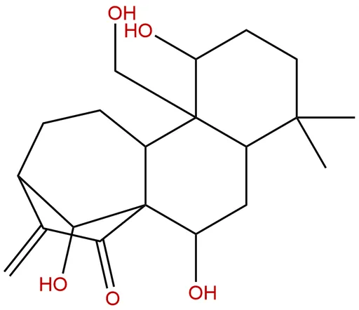 Kamebakaurin